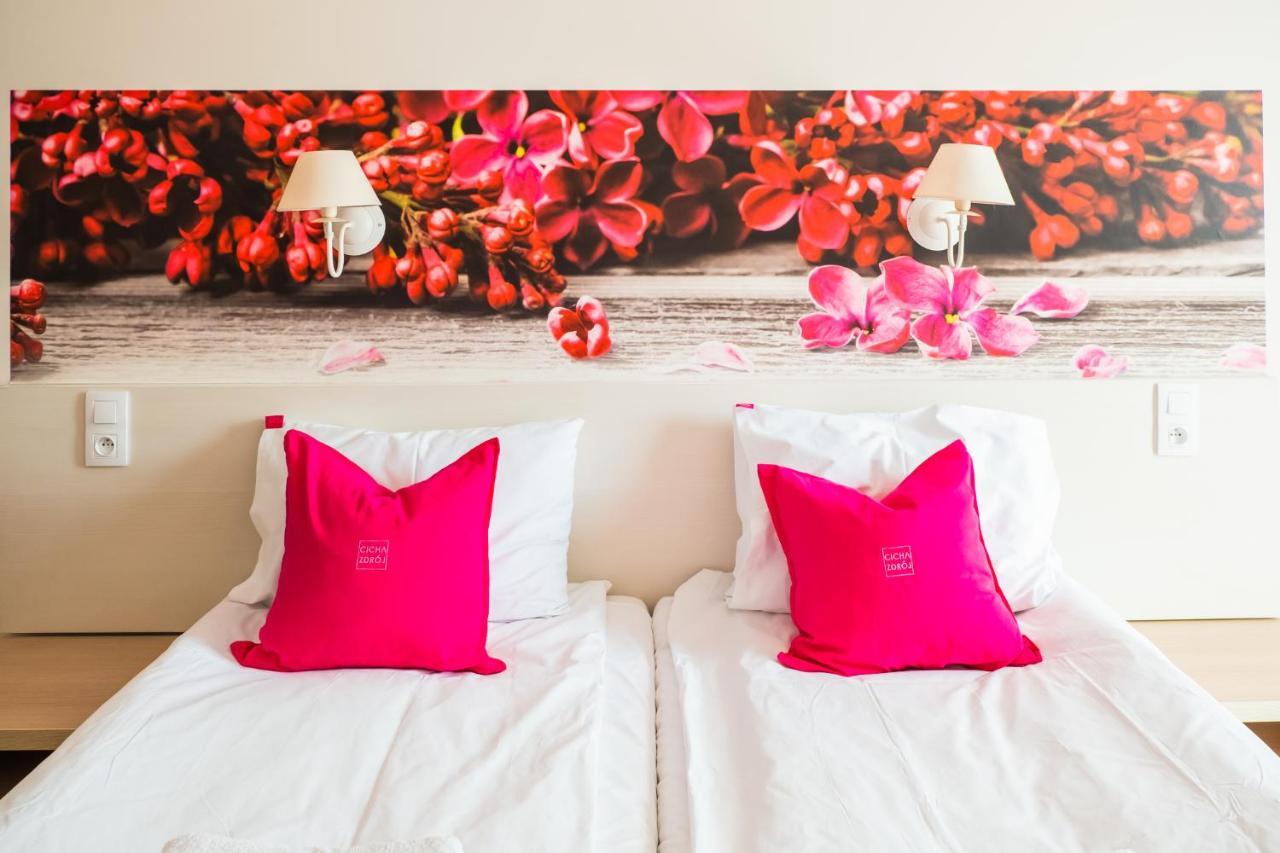 Cicha Zdroj Aparthotel Solec-Zdrój Buitenkant foto